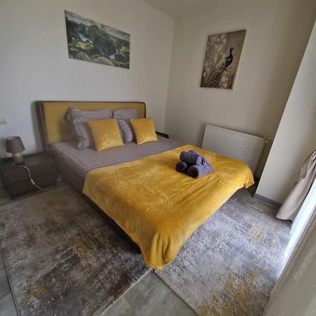 Avram Iancu Apartment Brassó Kültér fotó